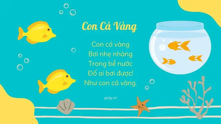 Cá Vàng Bơi Lội: Toàn Cảnh Về Loài Cá Cảnh Được Yêu Thích Nhất Thế Giới