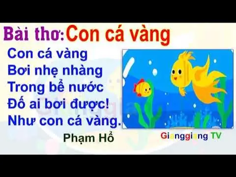 Cá Vàng Bơi Lội: Toàn Cảnh Về Loài Cá Cảnh Được Yêu Thích Nhất Thế Giới
