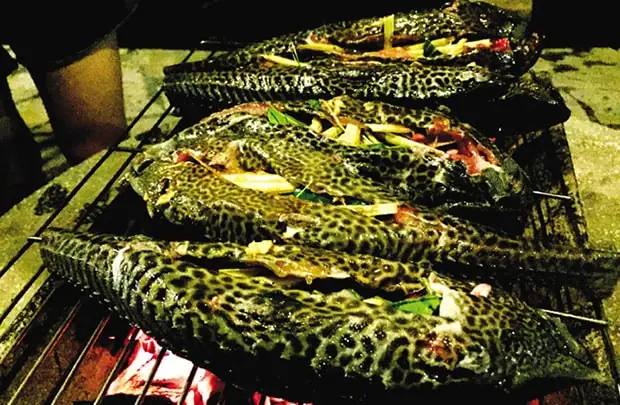 Món Ngon Từ Con Cá Xấu Xí