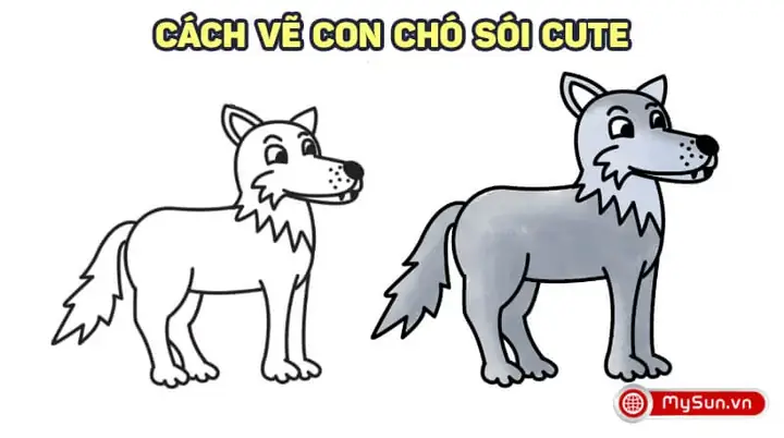 Con Chó Sói Hung Ác: Sự Thật Về Bản Năng Săn Mồi Và Vị Trí Trong Hệ Sinh Thái