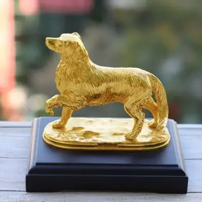 Hình Ảnh Chó Phong Thuỷ