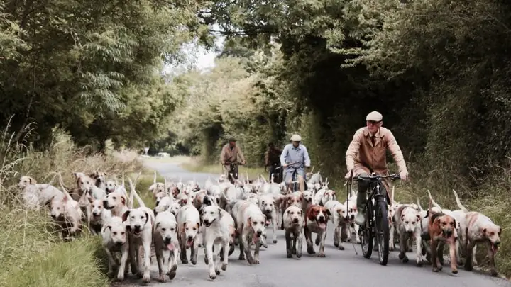 Nhận Xét Quan Điểm:“chó Cũng Chỉ Là Một Trong Số Rất Nhiều Loài Vật Khác Nên Việc Thiêu Huỷ Chúng Trong Điều Kiện Hoàn Cảnh Nhạy Cảm Không Phải Vấn Đề Quá Đáng”