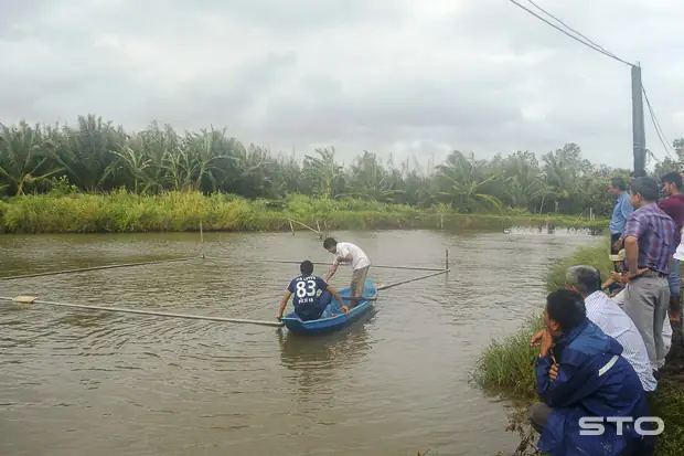 Xây Dựng Mô Hình Nuôi Cá Bông Lau Trong Ao Đất