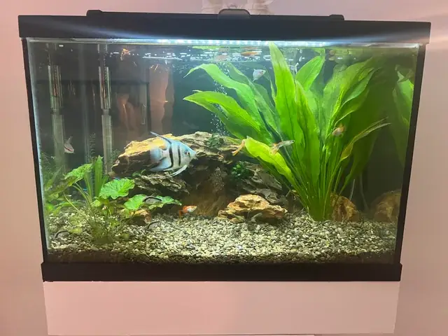 Công Thủy Tinh Nuôi Cá: Khám Phá Thế Giới Đại Dương Trong Lòng Thành Phố Công Thủy Tinh Nuôi Cá: Khám Phá Thế Giới Đại Dương Trong Lòng Thành Phố