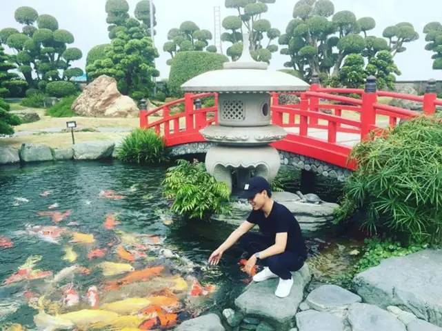 Công Viên Cá Koi Hocmon: Không Gian Tâm Linh Và Giải Trí Độc Đáo Tại Tp.hcm Công Viên Cá Koi Hocmon: Không Gian Tâm Linh Và Giải Trí Độc Đáo Tại Tp.hcm