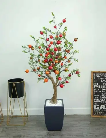 Top 5 Cửa Hàng Bán Đồ Trang Trí Hồ Cá Uy Tín Tại Hà Nội Cho Người Mới Bắt Đầu