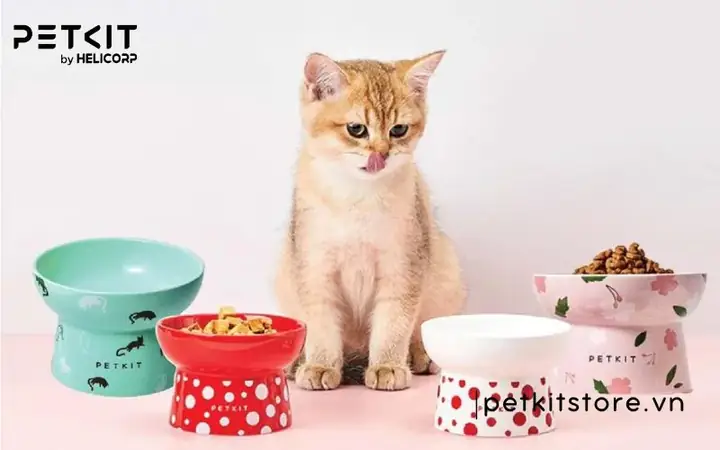 13 Bát Ăn Chó Mèo Petkit