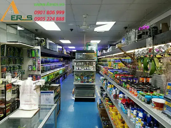 Cá Cảnh Anh Tuấn Bmt: Cửa Hàng Cá Cảnh Uy Tín Tại Buôn Ma ...