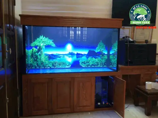 Tìm Hiểu Cửa Hàng Cá Cảnh Anh Tuấn: Địa Chỉ, Sản Phẩm, Đánh Giá ...