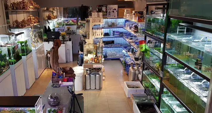 Cửa Hàng Cá Cảnh Minh Tâm