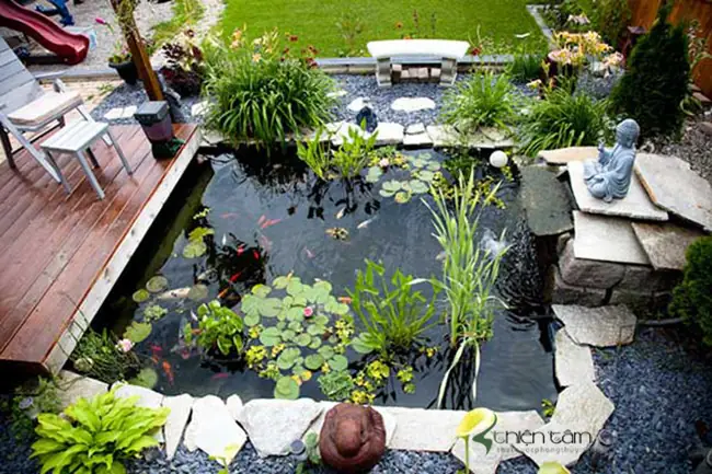 Khu Du Lịch Sinh Thái Tân Cảng