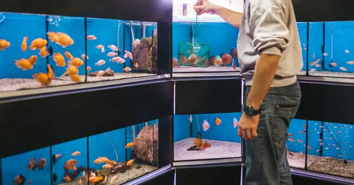 Toplist Cửa Hàng Cá Cảnh Uy Tín Tại Quận 3, Hồ Chí Minh - Aqua ... Toplist Cửa Hàng Cá Cảnh Uy Tín Tại Quận 3, Hồ Chí Minh - Aqua ...