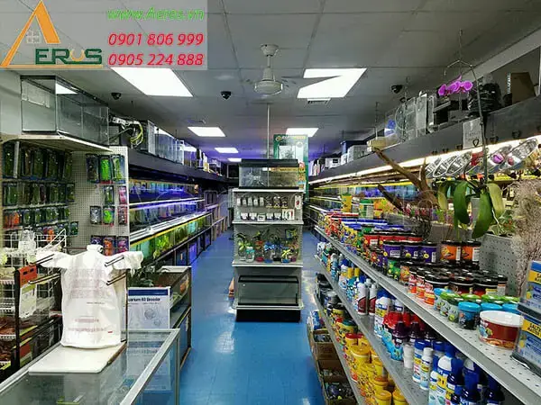 Cửa Hàng Cá Cảnh Thu Trang: Thông Tin Tổng Quan Và Định Vị Trong Ngành