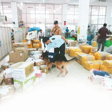 Cục Huấn Luyện Chó Nghiệp Vụ Bộ Công An Là Gì? Vai Trò Và Lịch Sử Hình Thành Cục Huấn Luyện Chó Nghiệp Vụ Bộ Công An Là Gì? Vai Trò Và Lịch Sử Hình Thành