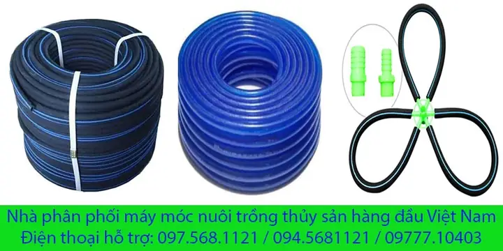 Cung Cấp Oxy Cho Cá