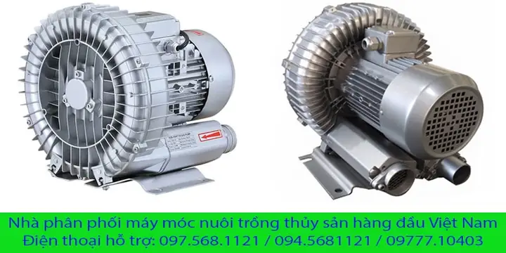 Cung Cấp Oxy Cho Cá