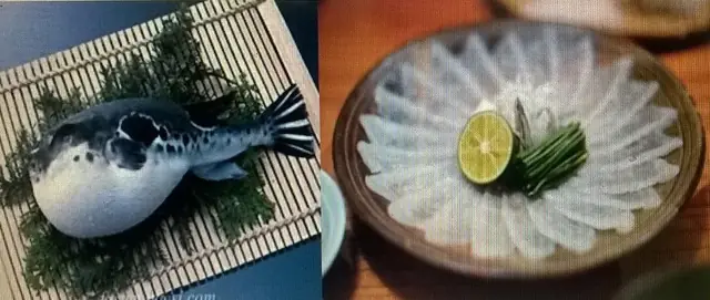 Cá Nóc, Tác Dụng Chữa Bệnh Của Cá Nóc