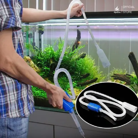 Thay Nước Thường Xuyên