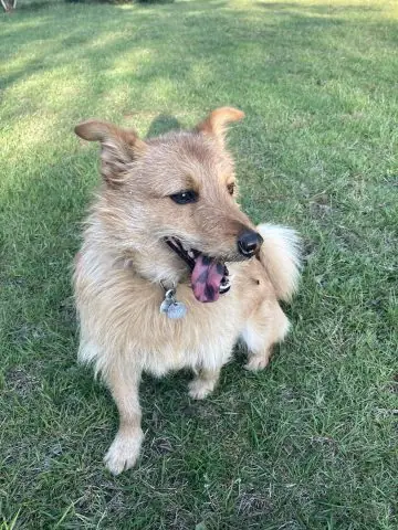 Phân Biệt Đốm Đen Bẩm Sinh Và Đốm Đen Mắc Phải