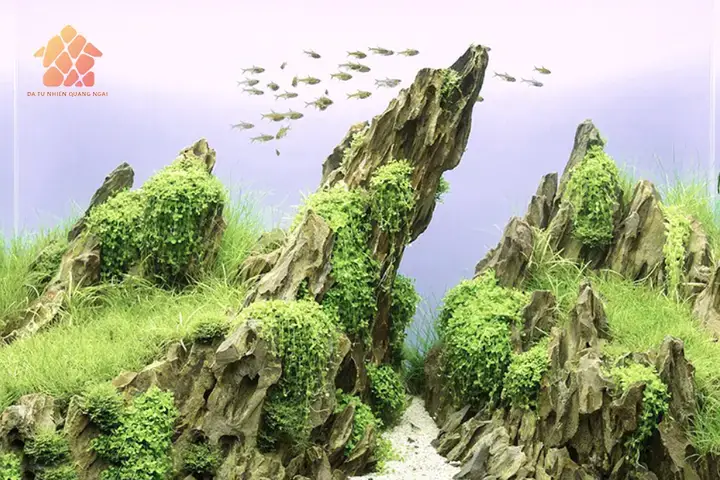 Các Loại Đá Lát Bể Cá Phổ Biến Và Đặc Điểm