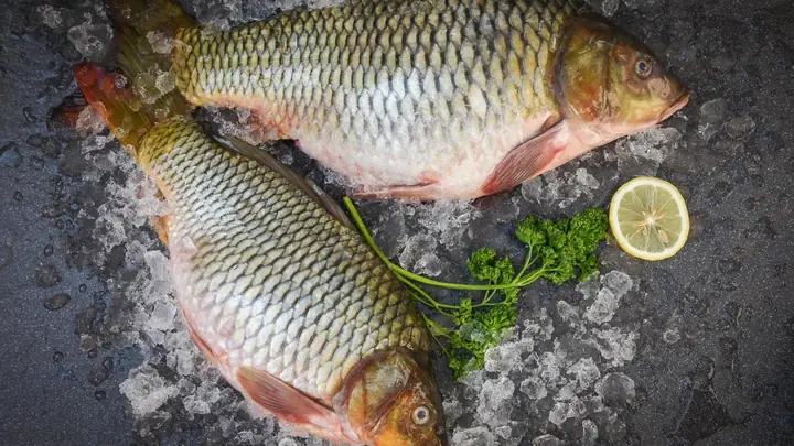Thành Phần Dinh Dưỡng Của Cá Chép Và Món Ăn Ngon Từ Cá Chép Thành Phần Dinh Dưỡng Của Cá Chép Và Món Ăn Ngon Từ Cá Chép