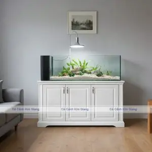 Thiết Kế Bể Cá Cảnh & Bể Thủy Sinh Đẹp Giá Rẻ Tại Hà Nội