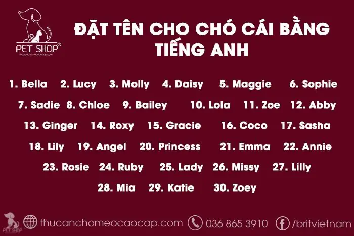 Đặt Tên Cho Chó Cái Bằng Tiếng Anh