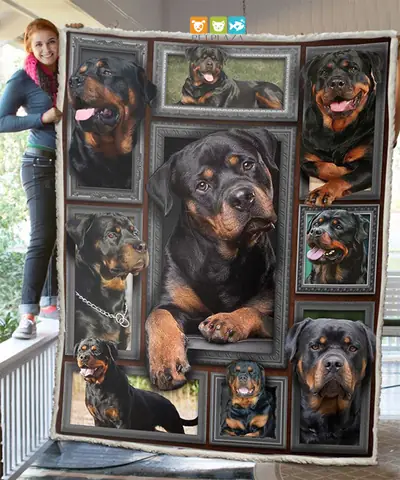 Đặt Tên Cho Chó Hay May Mắn Bằng Tiếng Việt Và Tiếng Nước Ngoài