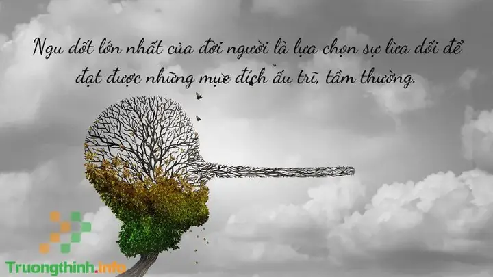 Quy Luật Nhân Quả Trong Hành Vi Lừa Dối