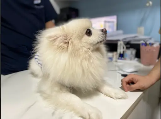 Tạo Môi Trường Yên Tĩnh Và An Toàn Tạo Môi Trường Yên Tĩnh Và An Toàn