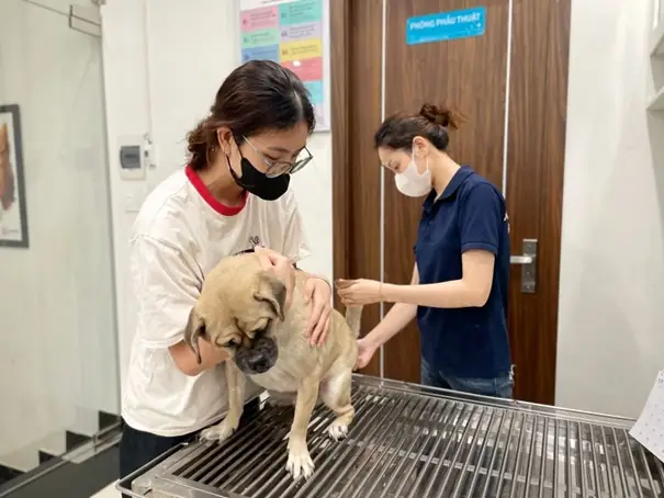 Nghe Hơi Thở Nghe Hơi Thở