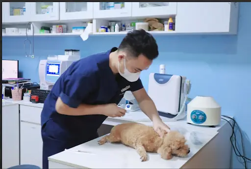 Cơ Thể Bắt Đầu Xuất Hiện Mùi Hôi Cơ Thể Bắt Đầu Xuất Hiện Mùi Hôi