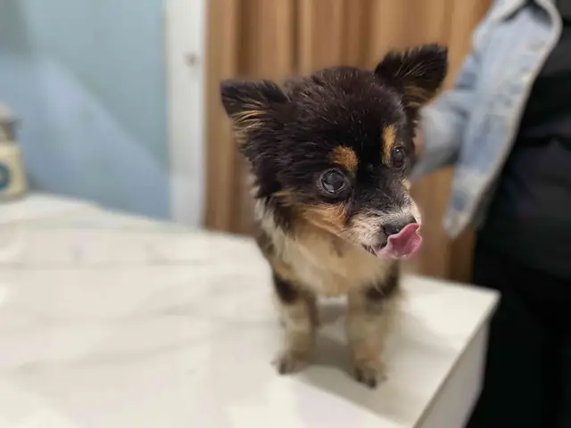 Dấu Hiệu Của Chất Thải Dấu Hiệu Của Chất Thải