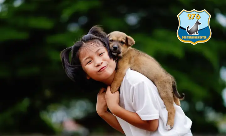 Những Cái Ôm Sau Giờ Ăn