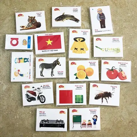 Hướng Dẫn Dạy Bé Học Các Loài Cá Đơn Giản Và Hấp Dẫn ...