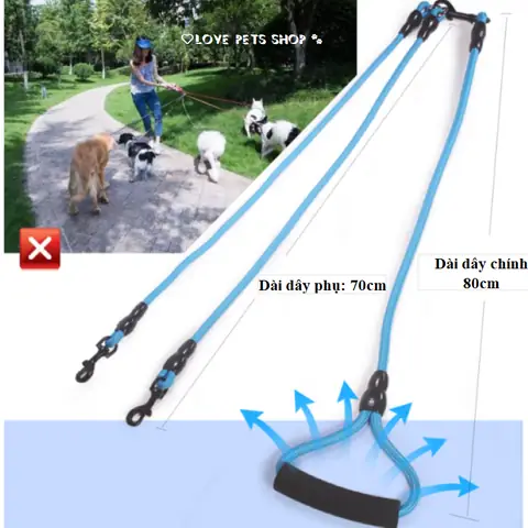 Dây Xích Chó Bao Nhiêu Tiền