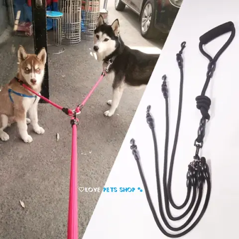 Dây Xích Chó Bao Nhiêu Tiền