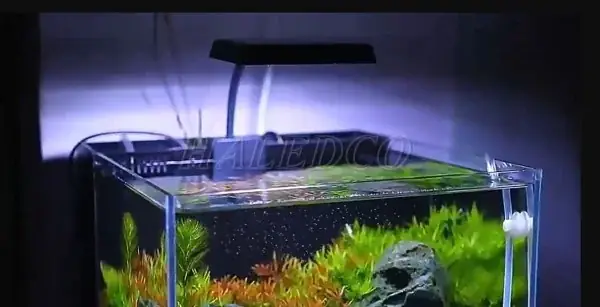 Top 7. Đèn Led Kẹp Hồ Cá Mini Neo Flat