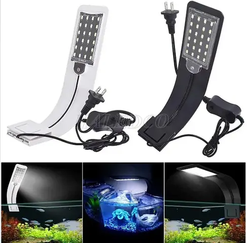 Câu 2: Bật Đèn Kẹp Hồ Cá Trong Bao Lâu Là Tốt Nhất?