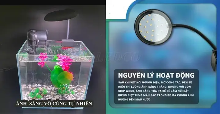 Top 10. Đèn Kẹp Bể Cá Tròn Xml Wrgb