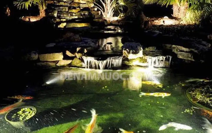 Nên Chọn Đèn Led Dưới Nước Đơn Sắc Hay Đổi Màu?