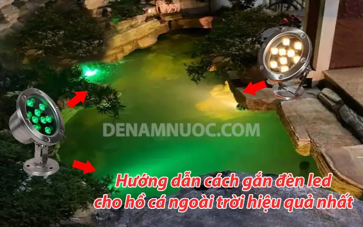Hướng Dẫn Cách Gắn Đèn Led Cho Hồ Cá Ngoài Trời Hiệu Quả Nhất