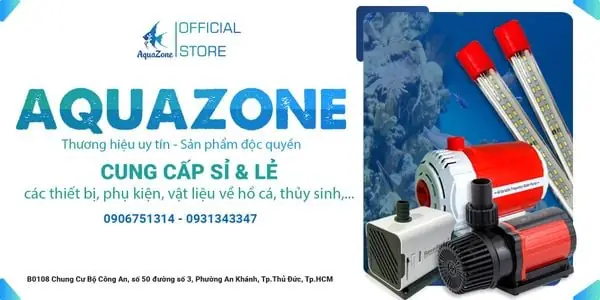 Aquazone Địa Chỉ Bán Đèn Chiếu Sáng Cho Hồ Cá Rồng Chính Hãng