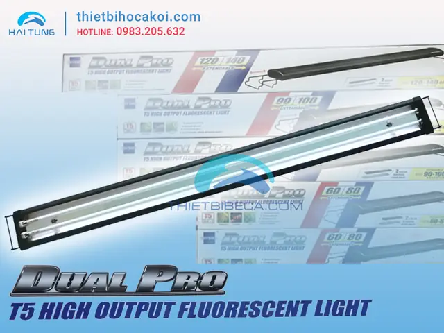 Đèn Odyssea Cho Cá Rồng