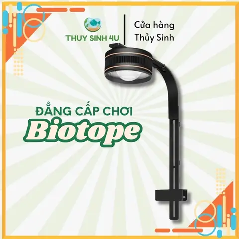 Dòng Đèn Rọi Bể Cá Biotope Được Yêu Thích Nhất