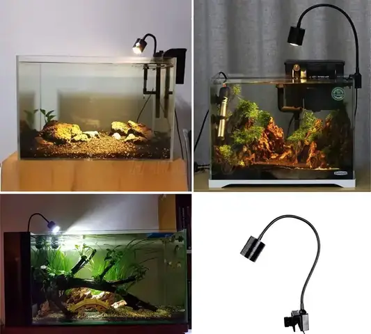 Bể Cá Biotop Là Gì Và Vì Sao Cần Ánh Sáng Chuyên Biệt?