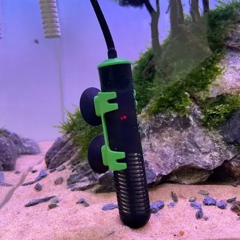 Hướng Dẫn Chọn Đèn Sưởi Phù Hợp Cho Bể Cá Mini Hướng Dẫn Chọn Đèn Sưởi Phù Hợp Cho Bể Cá Mini