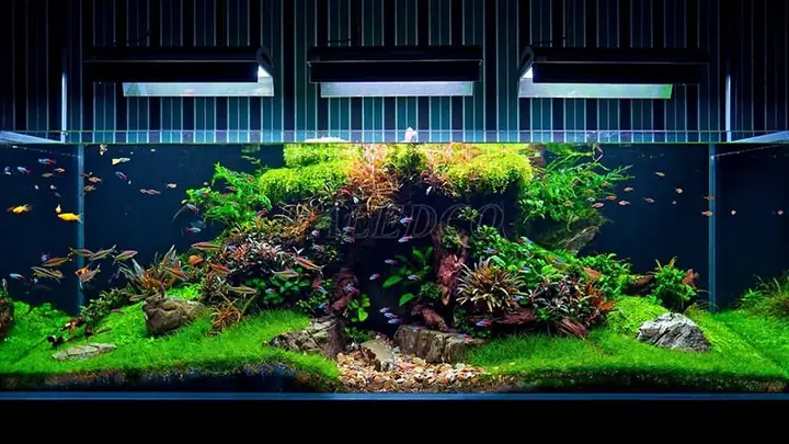 99+ Các Loại Đèn Led Hồ Cá Giá Tốt - Giao Ngay
