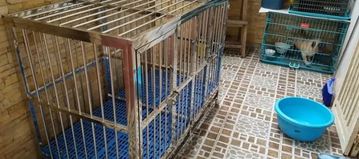 Hướng Dẫn Chọn Mua Chuồng Chó Inox Chất Lượng Tại Tp.hcm: Tiêu Chí, Địa Chỉ Uy Tín Và Cách Sử Dụng