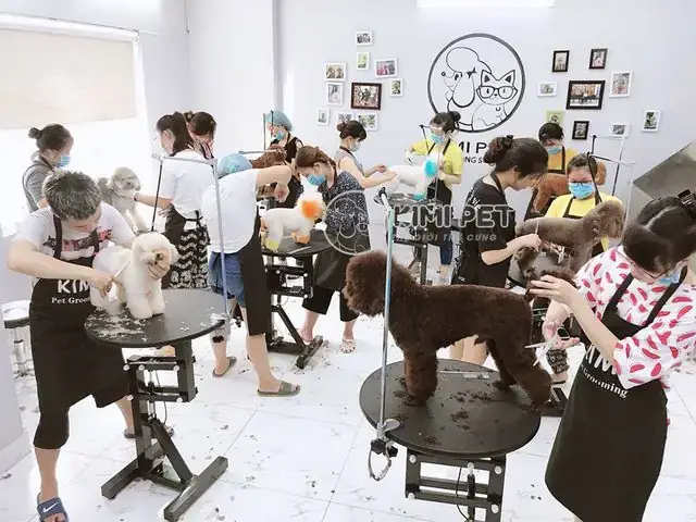 Đội Ngũ Groomer Có Chứng Chỉ Và Kinh Nghiệm